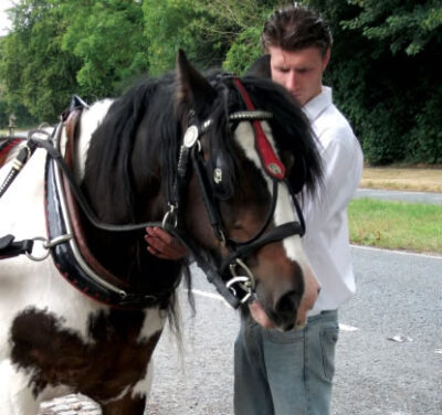 Picture of man and horse