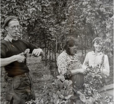 Picture of three adults hop picking