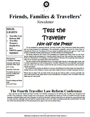 thumbnail of cover for 'Newsletter November 2002' FFT