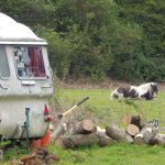 Caravan on the left hand side with fire wood next to it, and a black and white horse sitting in the field in the background.