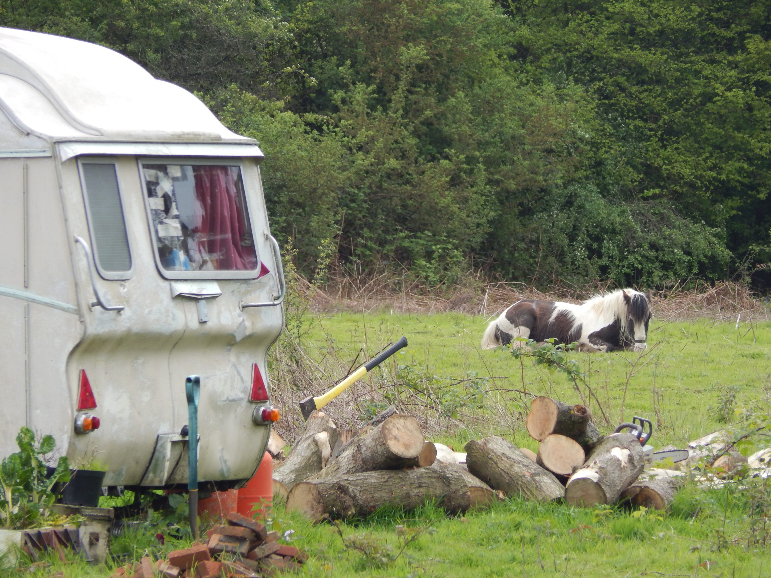 Caravan on the left hand side with fire wood next to it, and a black and white horse sitting in the field in the background.