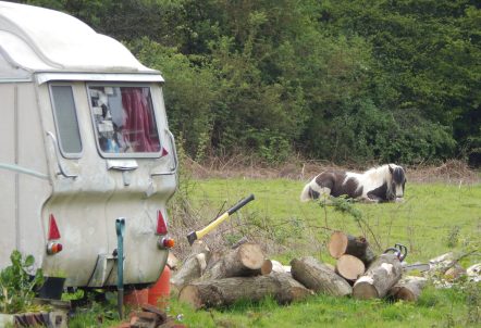 Caravan on the left hand side with fire wood next to it, and a black and white horse sitting in the field in the background.