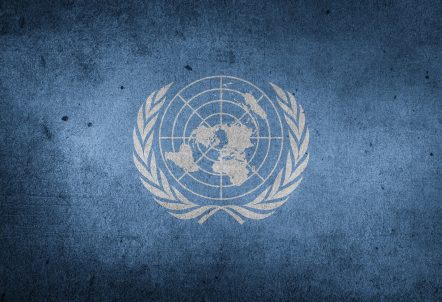 United Nations World Flag